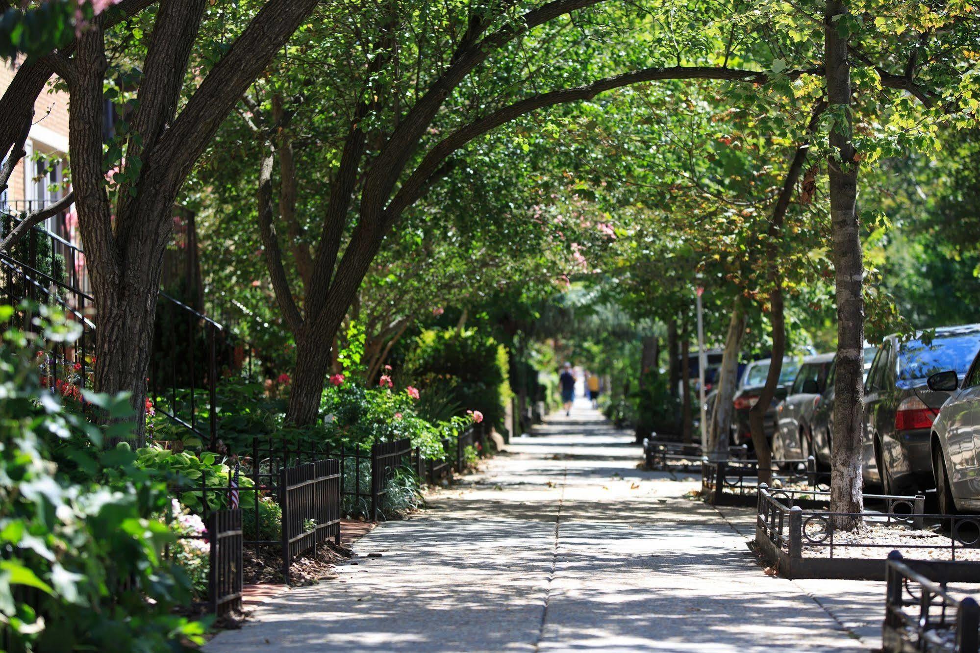 Glover Park Georgetown Hotel 4*